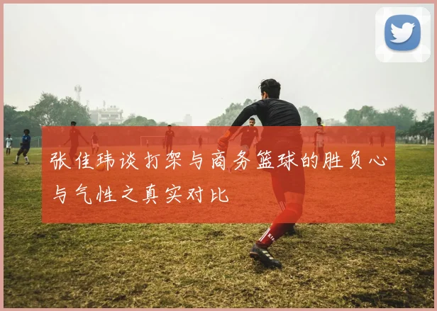 张佳玮谈打架与商务篮球的胜负心与气性之真实对比