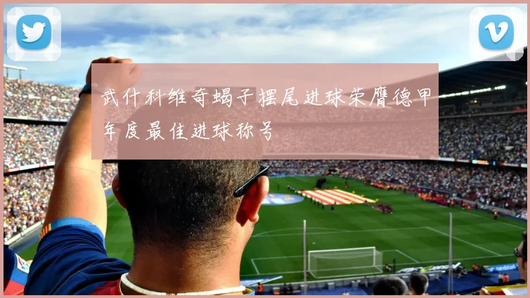 武什科维奇蝎子摆尾进球荣膺德甲年度最佳进球称号