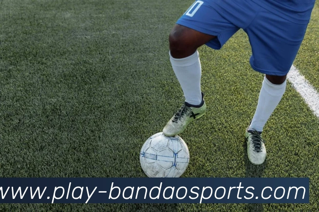 半岛体育平台生态图