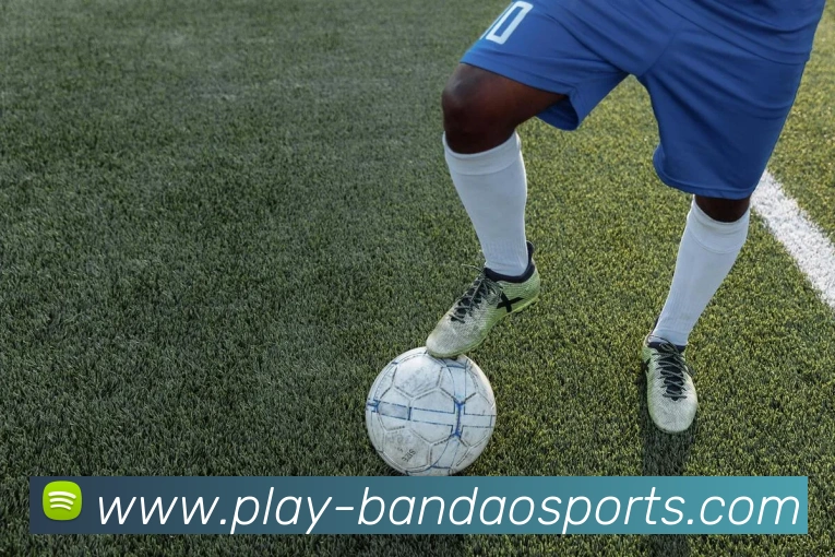 半岛体育全站App