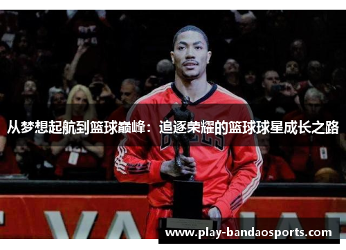 从梦想起航到篮球巅峰：追逐荣耀的篮球球星成长之路